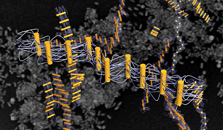 DNA-tethered nanorods