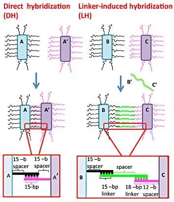 nanorods schematic