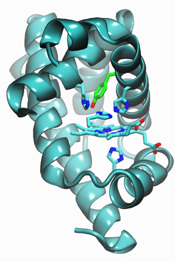 Ribbon diagram