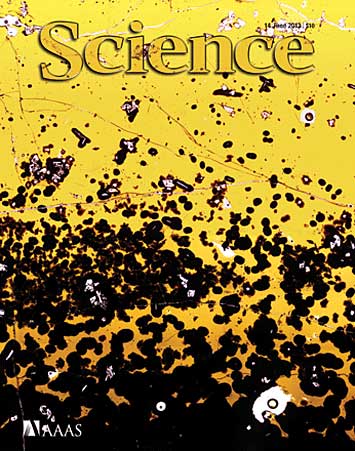 Science magazine cover