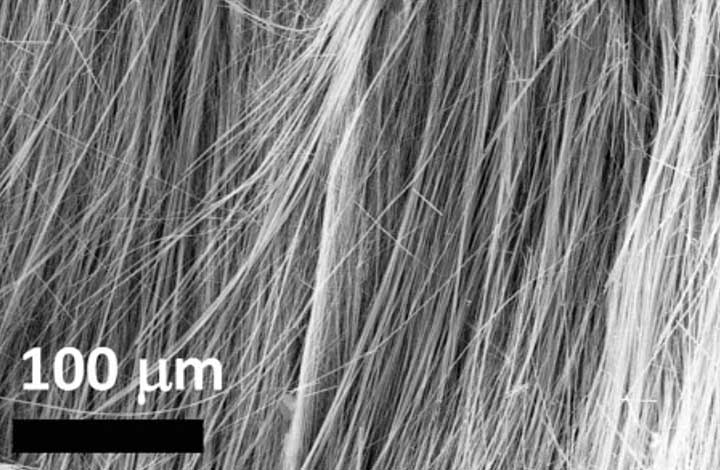 Scanning transmission image of synthesized crystalline nanowires