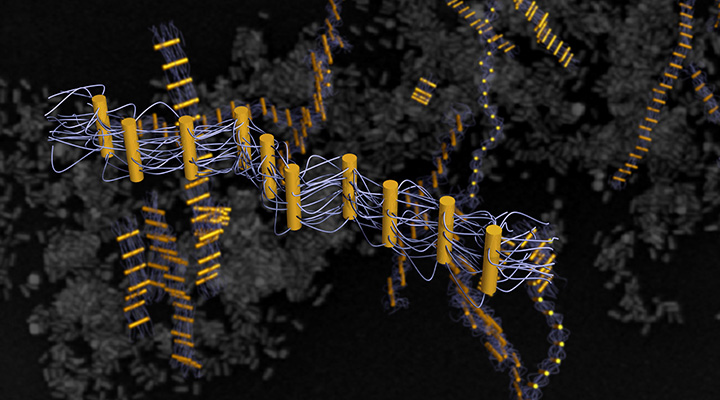 Image of DNA-tethered nanorods