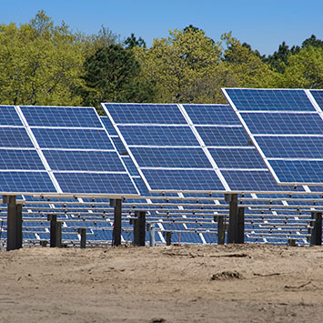Photo of Long Island Solar Farm