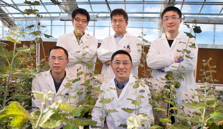 Chang-Jun Liu with Mingyue Gou, Huijun Yang, Yuanheng Cai and Xuebin Zhang