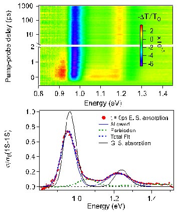 raw transient absorption data