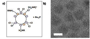 chloride-terminated CdSe quantum dot