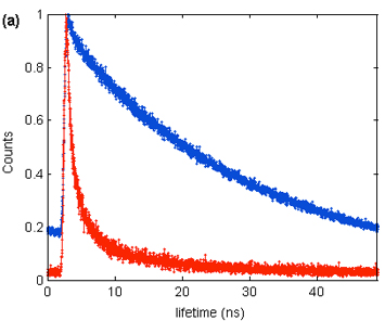 Photoluminescence lifetime decay of isolated quantum dots