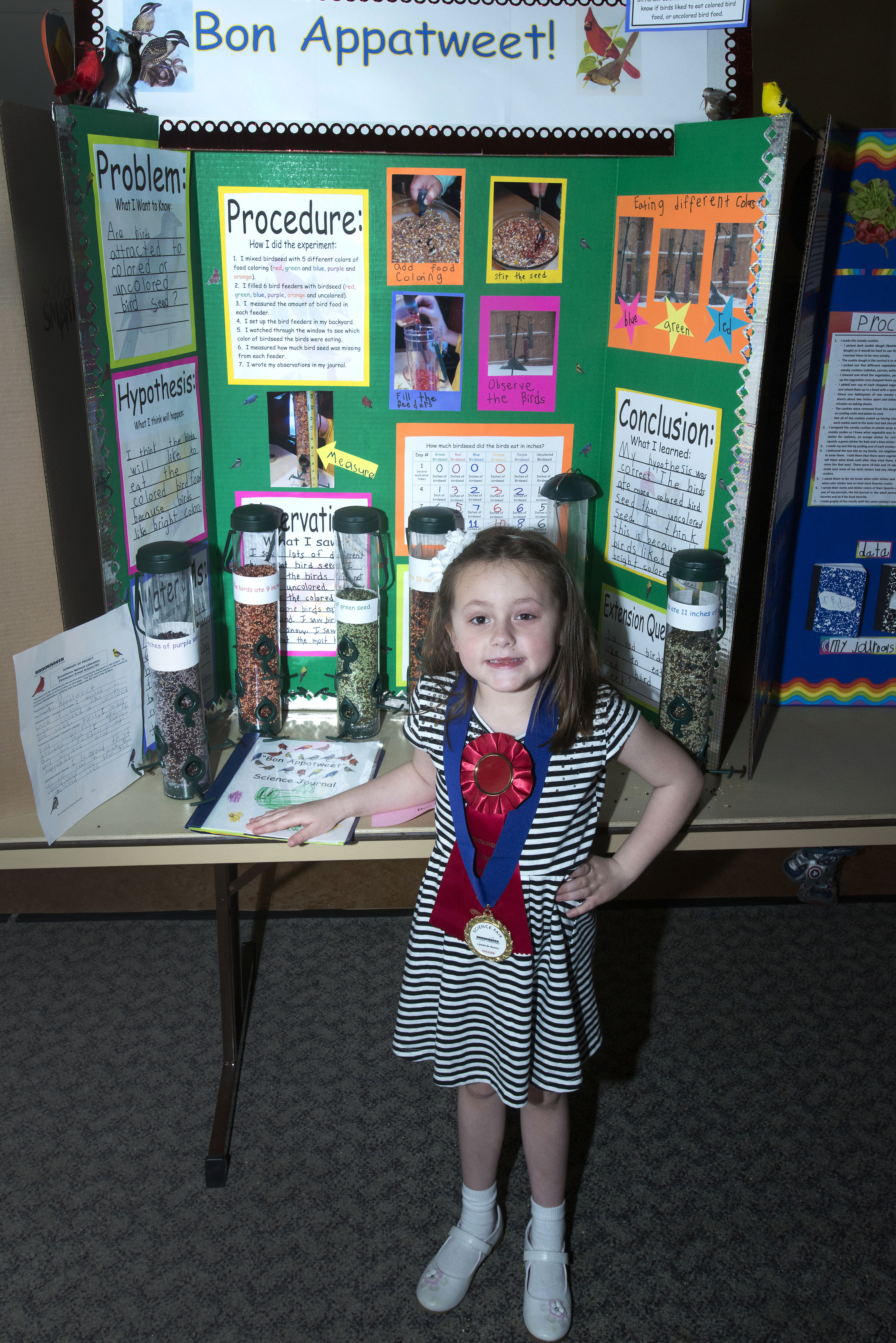 What are some websites showing top-winning science fair projects?