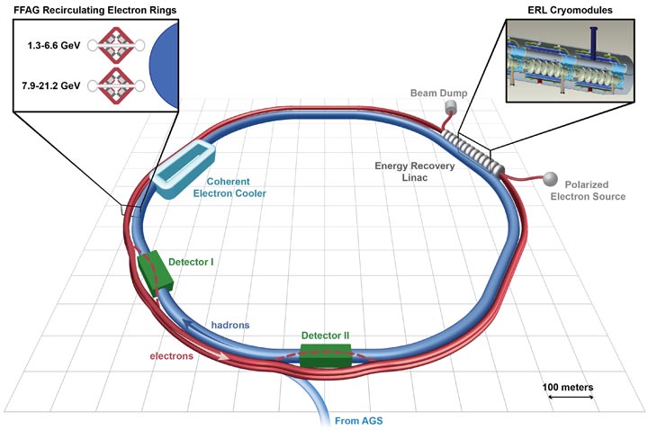 A schematic of the first electron-ion collider