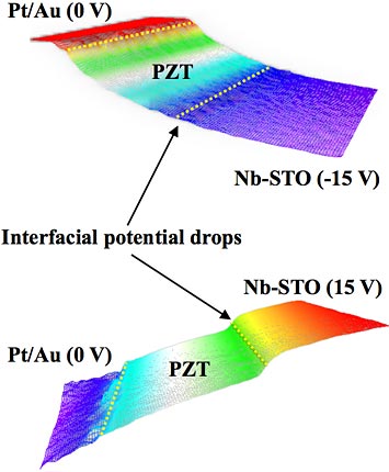 electrostatic potential landscapes