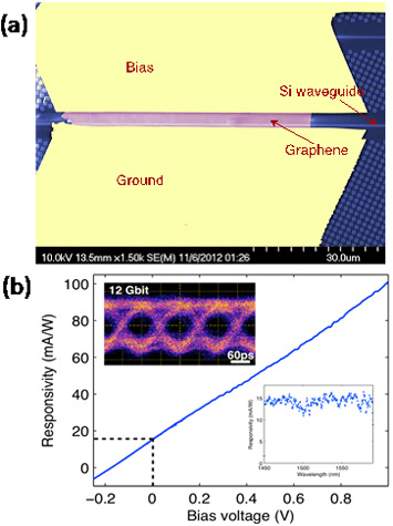 electron microscopy image of the graphene photodetector