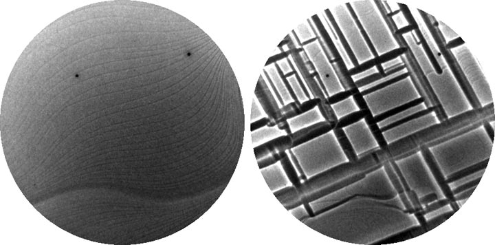 NiAI before and after