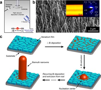 nanowires