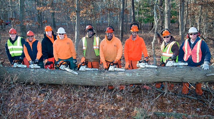 chainsaw crew