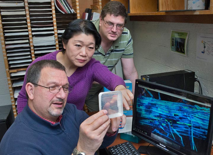 Richard Ferrieri, Youwen Xu, and Michael Schueller