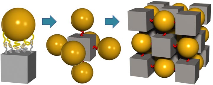 DNA tethers lead cubic blocks and spheres to self assemble