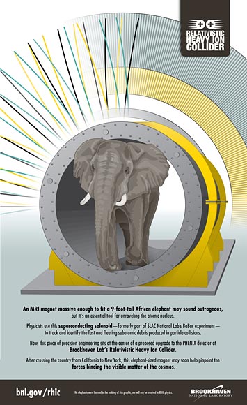 magnet infographic