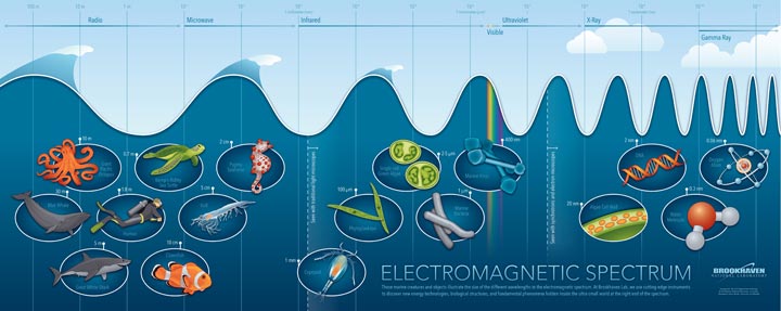 Electromagnetic Spectrum