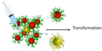 reprogramming DNA strands