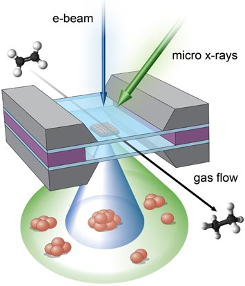 micro-reactor showing the complementary imaging