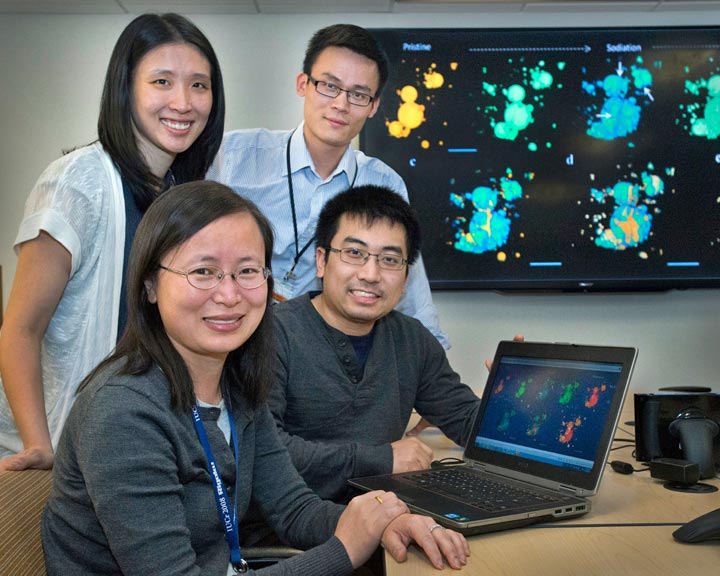 Jun Wang with members of her research team