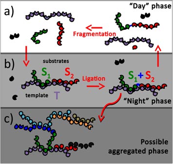 autocatalytic systems