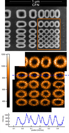 X-ray image of golden donuts