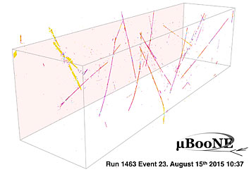 cosmic muon traces