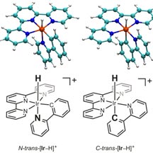 CO2 molecules