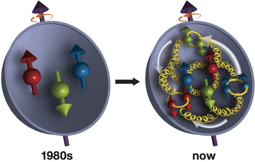 In the 1980s, scientists discovered that a proton's three valance quarks (red, green, blue) account for only a fraction of the proton's overall spin. New measurements from RHIC's PHENIX experiment reveal that gluons (yellow corkscrews) contribute as much as or possibly more than the quarks.