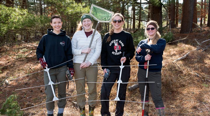 wildlife interns