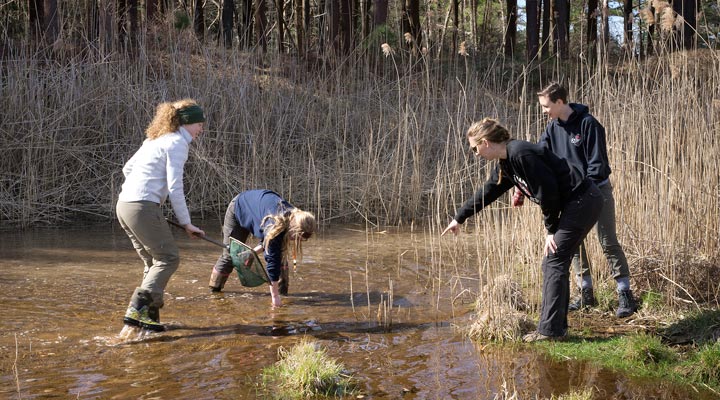 wildlife interns