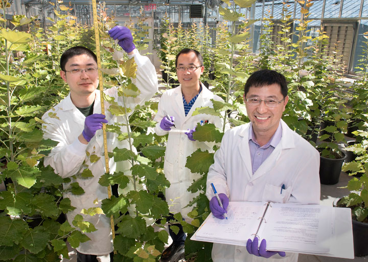 Yuanheng Cai, Xuebin Zhang, and Chang-Jun Liu