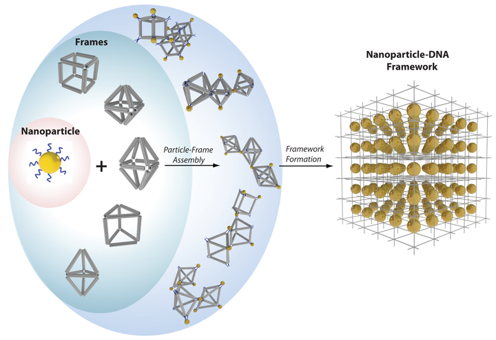 Nanoparticles