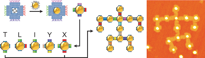 nanoparticle schematic diagram