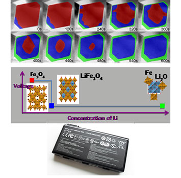 STEM image series