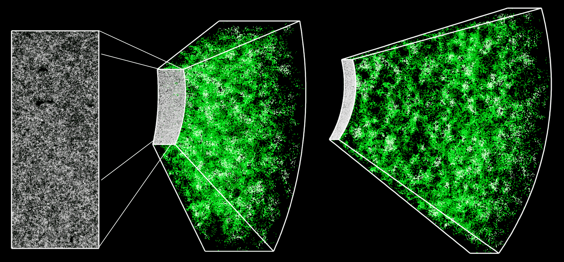 Large-Scale Structure - The Dark Energy Survey