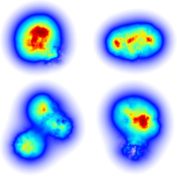 gluon density