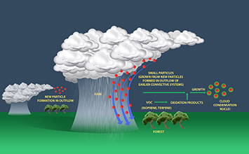 Cloud Particles