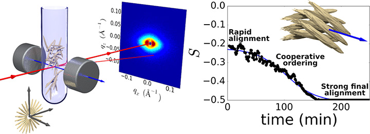 X-ray scattering measurements