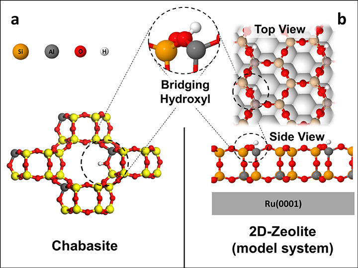 Chabasite zeolite framework