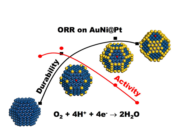 Computer-assisted Catalyst Design