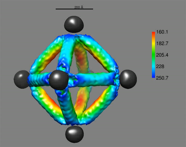 Gold nanoparticles