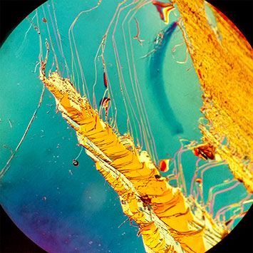 microscopic image of bismuth strontium calcium copper oxide samples