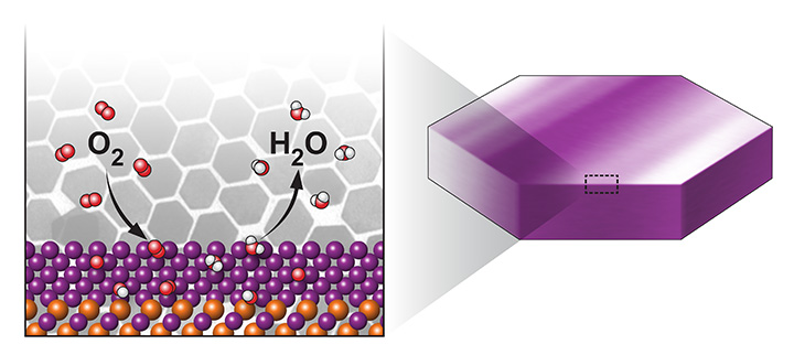 PtPb Nanoplates