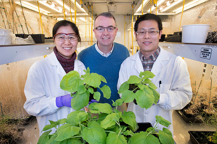 John Shanklin, Hui Liu, and Zhiyang Zhai