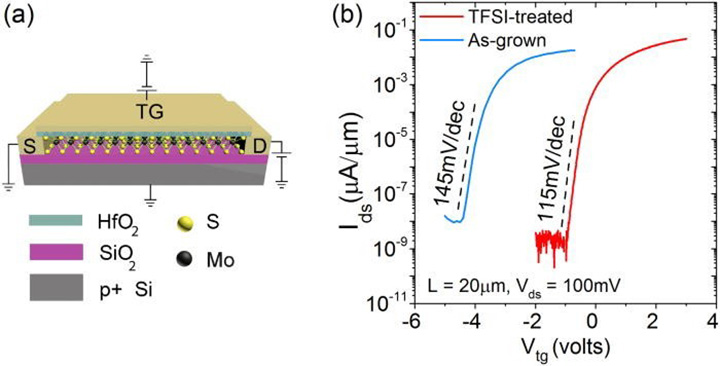 schematic of fabricated top-gated field-effect transistors (FETs)