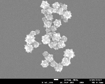 Gold nanoparticle
