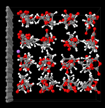 Model structure of a lithium ion