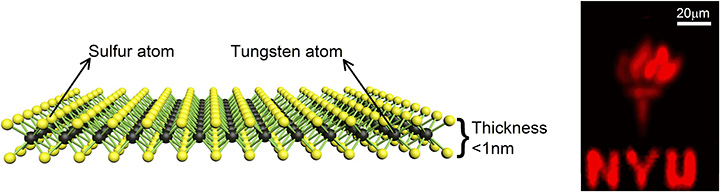 single-atom-thick tungsten disulfide